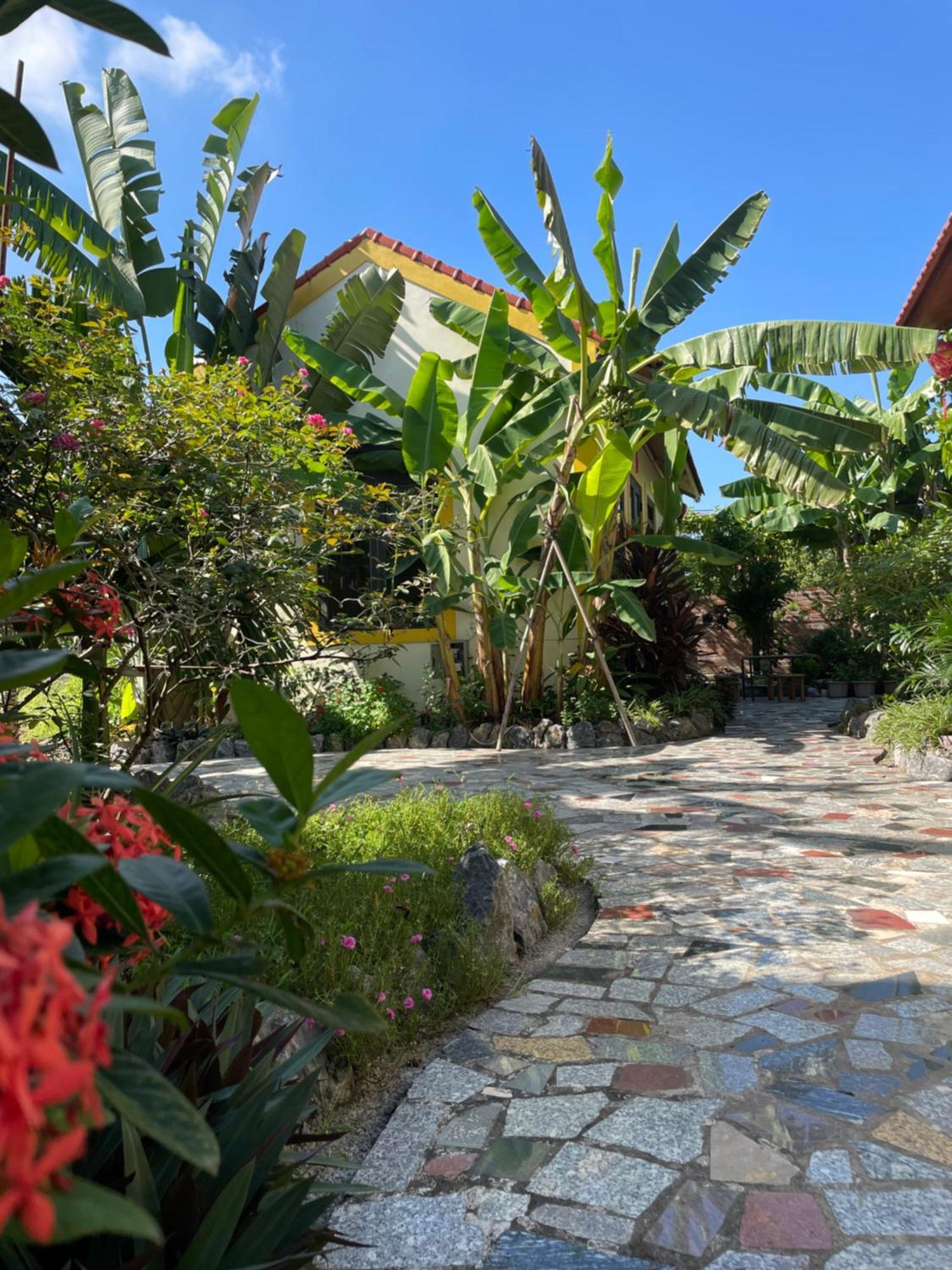 Ninh Binh Royal Homestay 外观 照片
